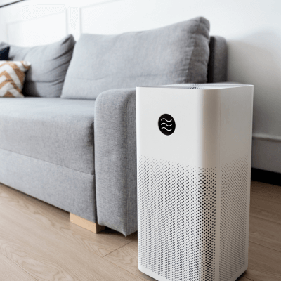 air purifier by couch to protect from mold and allergies in austin