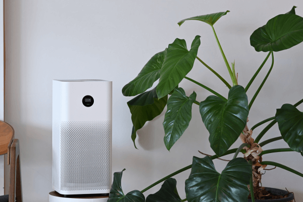 air purifier with house plant