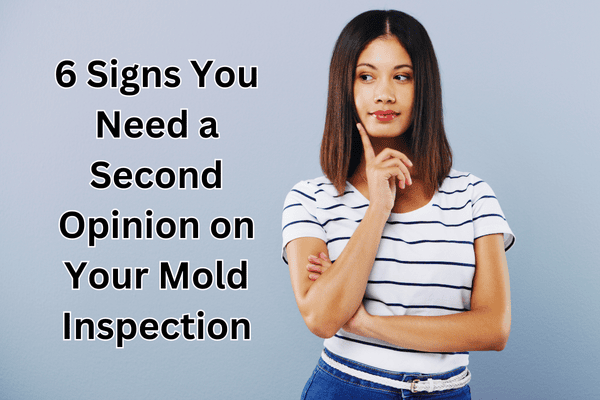 6 Signs You Need a Second Opinion on Your Mold Inspection