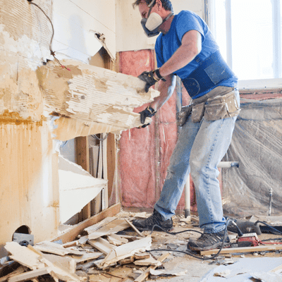 drastic mold remediation recommendations