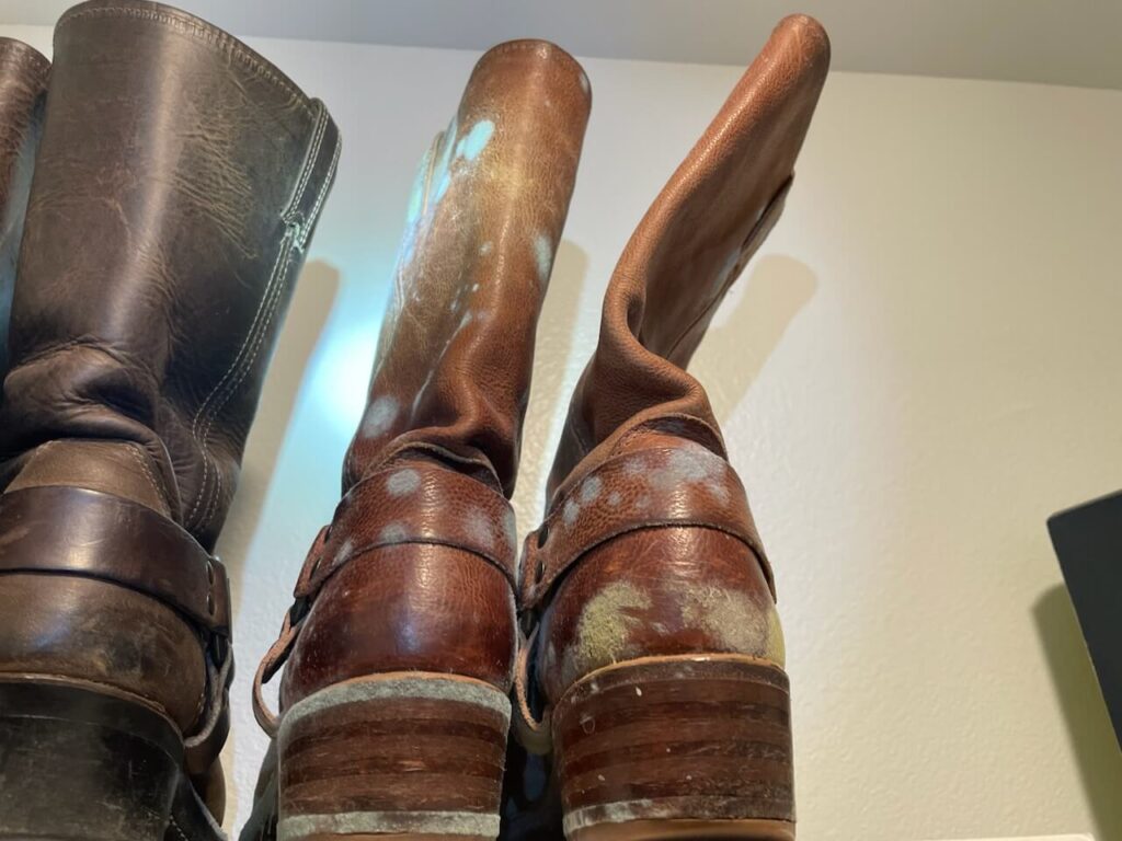 moldy boots from mold in the closet