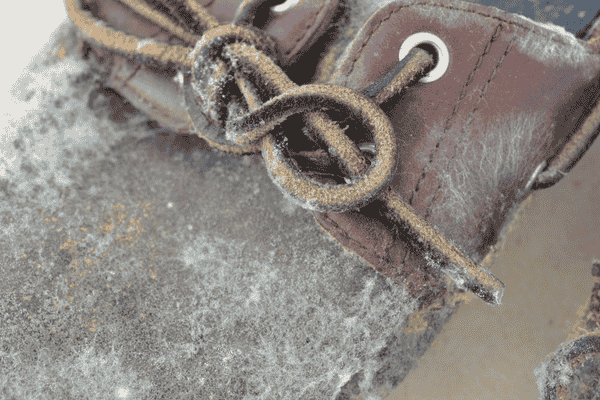 moldy shoe from closet mold