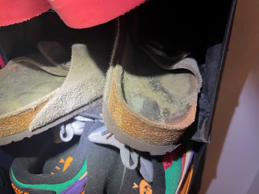 moldy shoes in closet