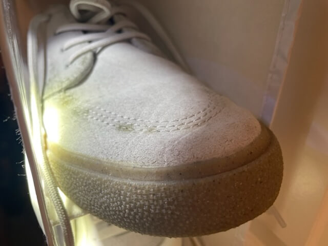 white shoe closet mold